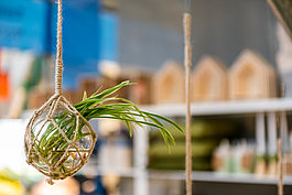 BASEL.live Fläche whärend der muba 2017